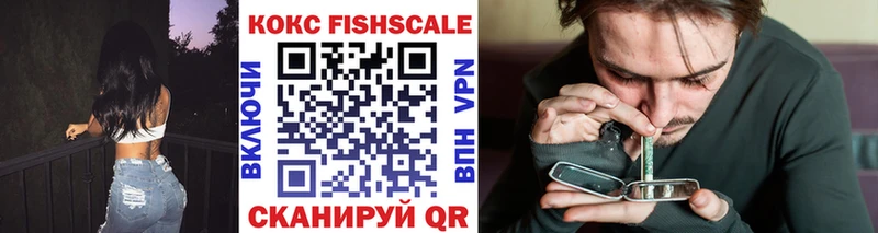 MEGA ТОР  darknet официальный сайт  Cocaine Fish Scale  Сафоново 