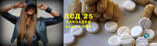 амф Алзамай